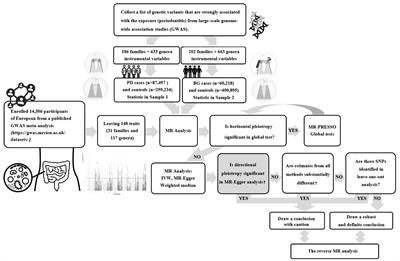 Potential effects of specific gut microbiota on periodontal disease: a two-sample bidirectional Mendelian randomization study